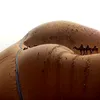 kot_barbos29.10