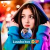 shodee4300