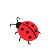 lady_bug5969