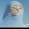 ayesha.nikzad811
