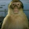 d4vid_nil3