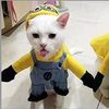 dan_yappss857