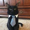 ilovegatos3022
