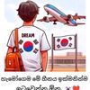 podda_nt2