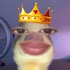 kcmatterig