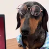 maximus_huan