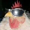 isalizkl
