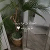 user7451092840833