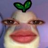 0orang_07