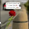 dllv_31