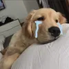 nhmtmindz