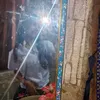 whotfscess