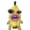 kurt_ko0