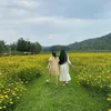 tran_ham_choi2712