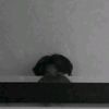 ajit_ndut