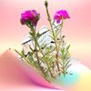 t.uddin5