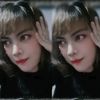 erinacinta__