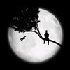 alone_boy3109