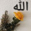 akashmalik5047