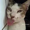 meomi89