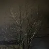 s1xzz__