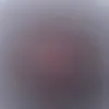 user6995123295582