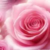 user8039195715041