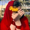 majid.hajano7