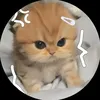 hiym_11