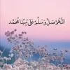 user8048061011868