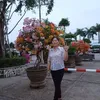 phmliu70