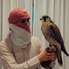 albrazi_505