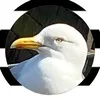 iwill_microwaveyou