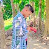 tajim.taj6
