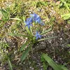 denis_3417