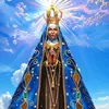 joiltomdanta12