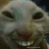 siuuuuuuu1632