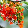 ashraf2146792180887