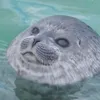 zertothile