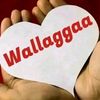 dasale.wallagga