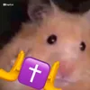 mlynkyio