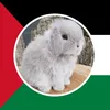 bunnywinkle