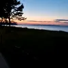elina_tlpp