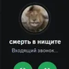 gr1zlyyyyyyyy