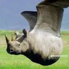 tibetansky_mimozemstan