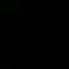 iis_c55