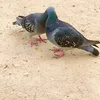 poiuyt.lkjhgf7
