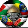 nazil.nadim