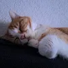 garfield4480