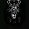 ahmed.khider0